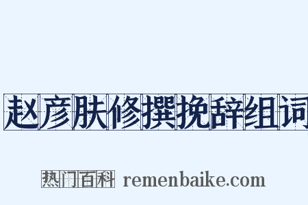 赵彦肤修撰挽辞组词是什么意思的图片